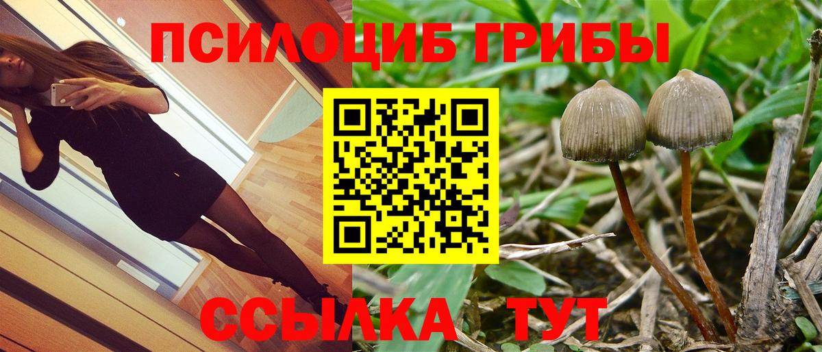 Псилоцибиновые грибы прущие грибы Саратов